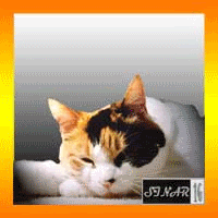 Add.gif image by 3n4y